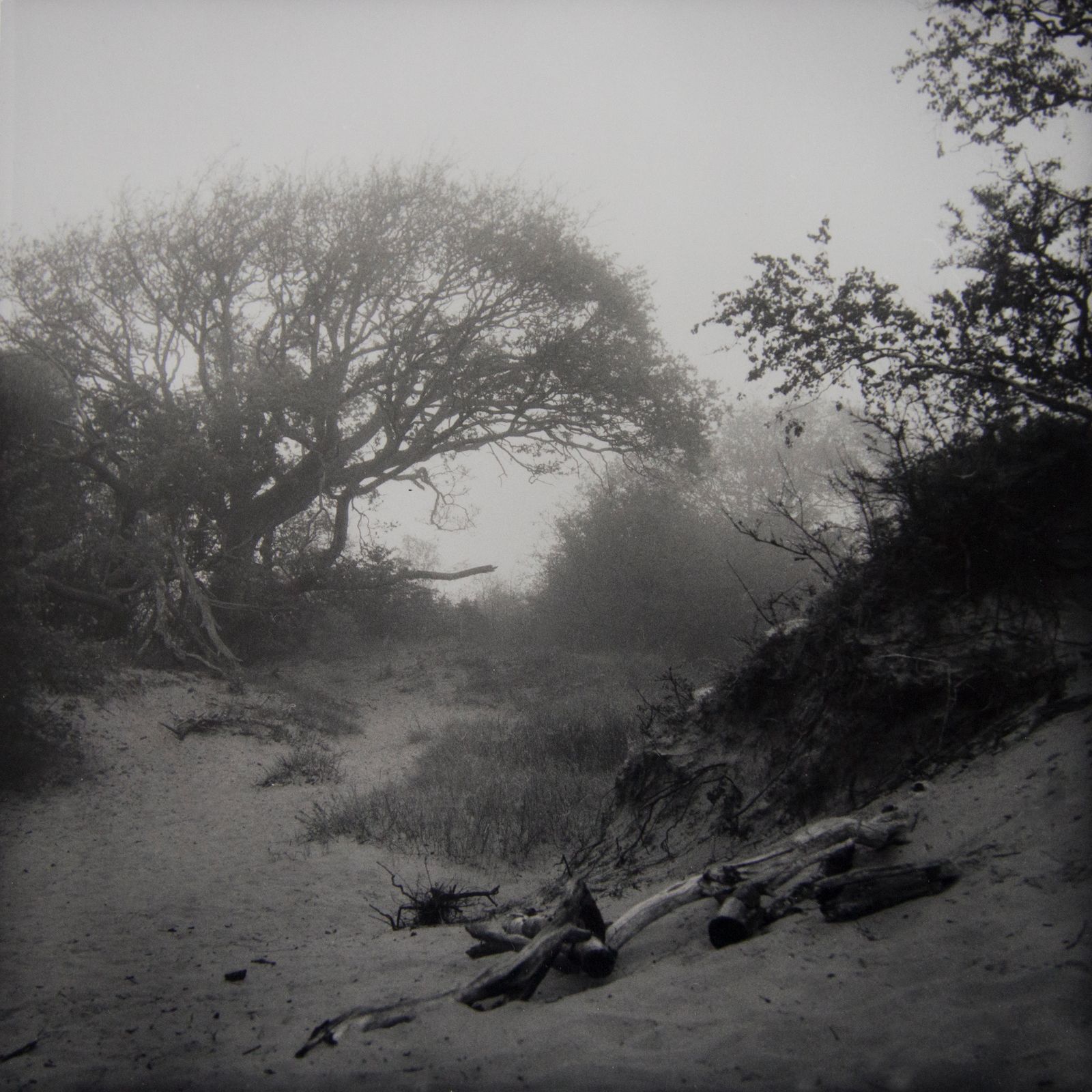 't Wed Mist, Franka Solida I Foma 400