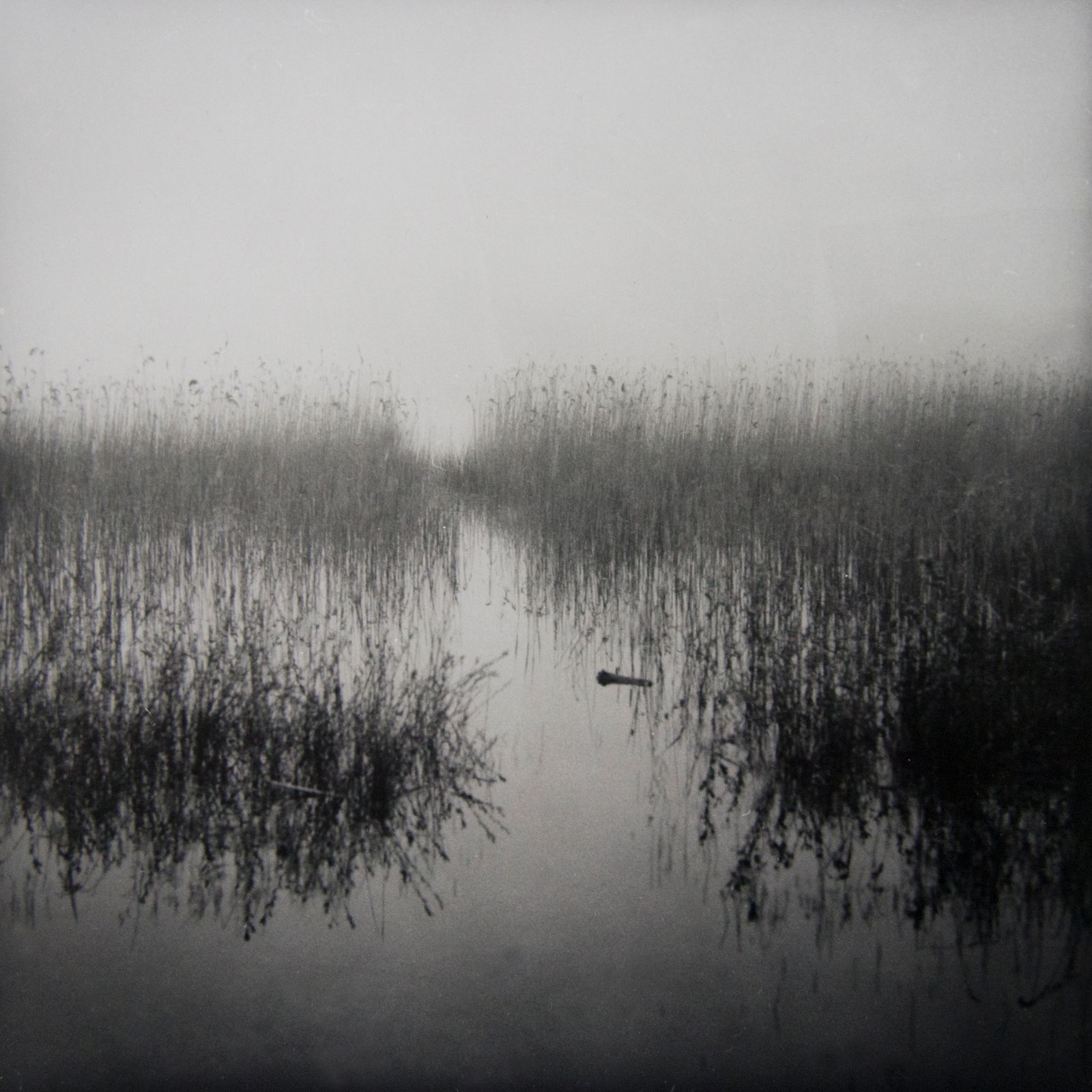 't Wed Mist, Franka Solida I Foma 400