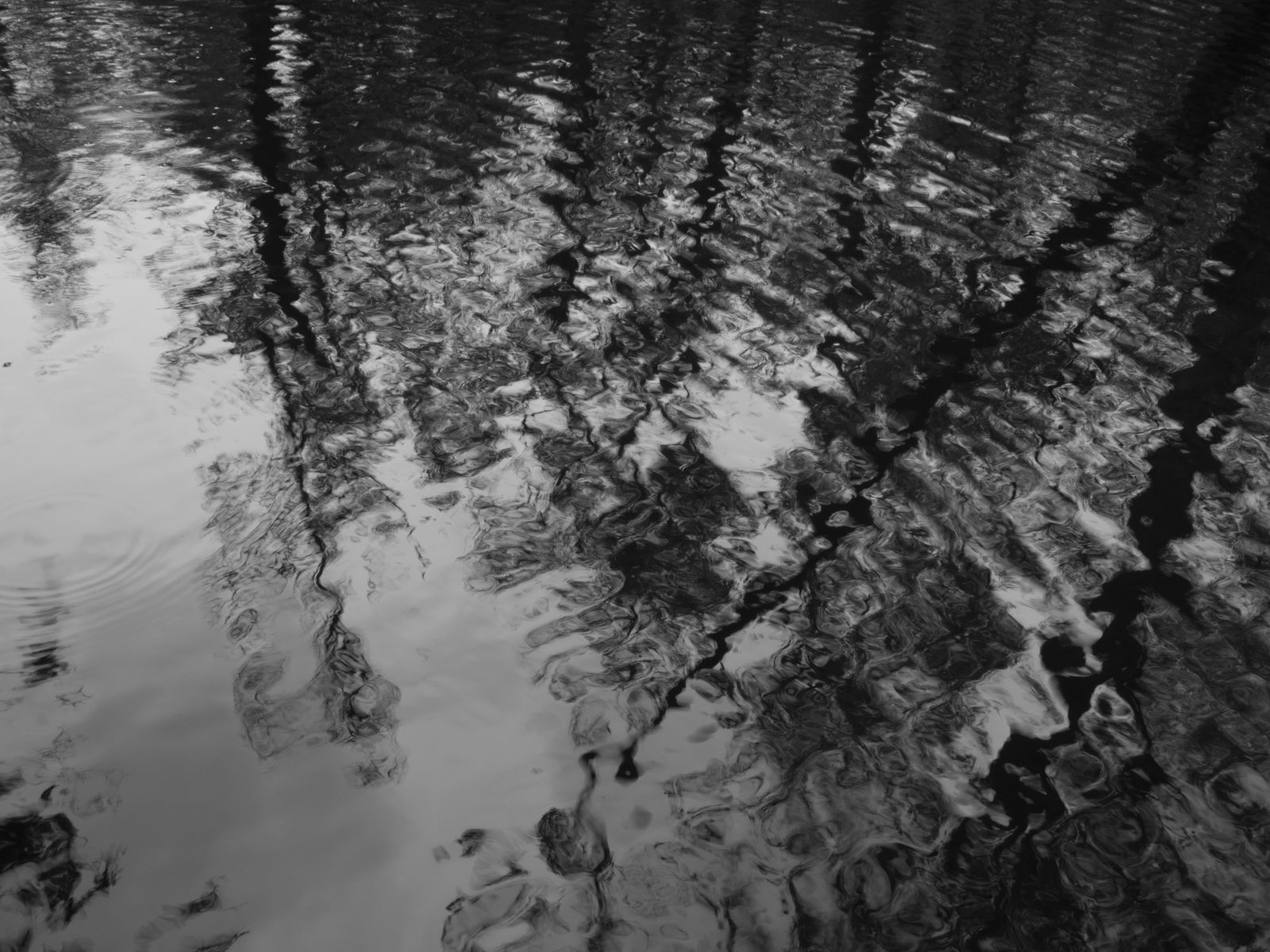 Waterrimpels, Olympus E-M5