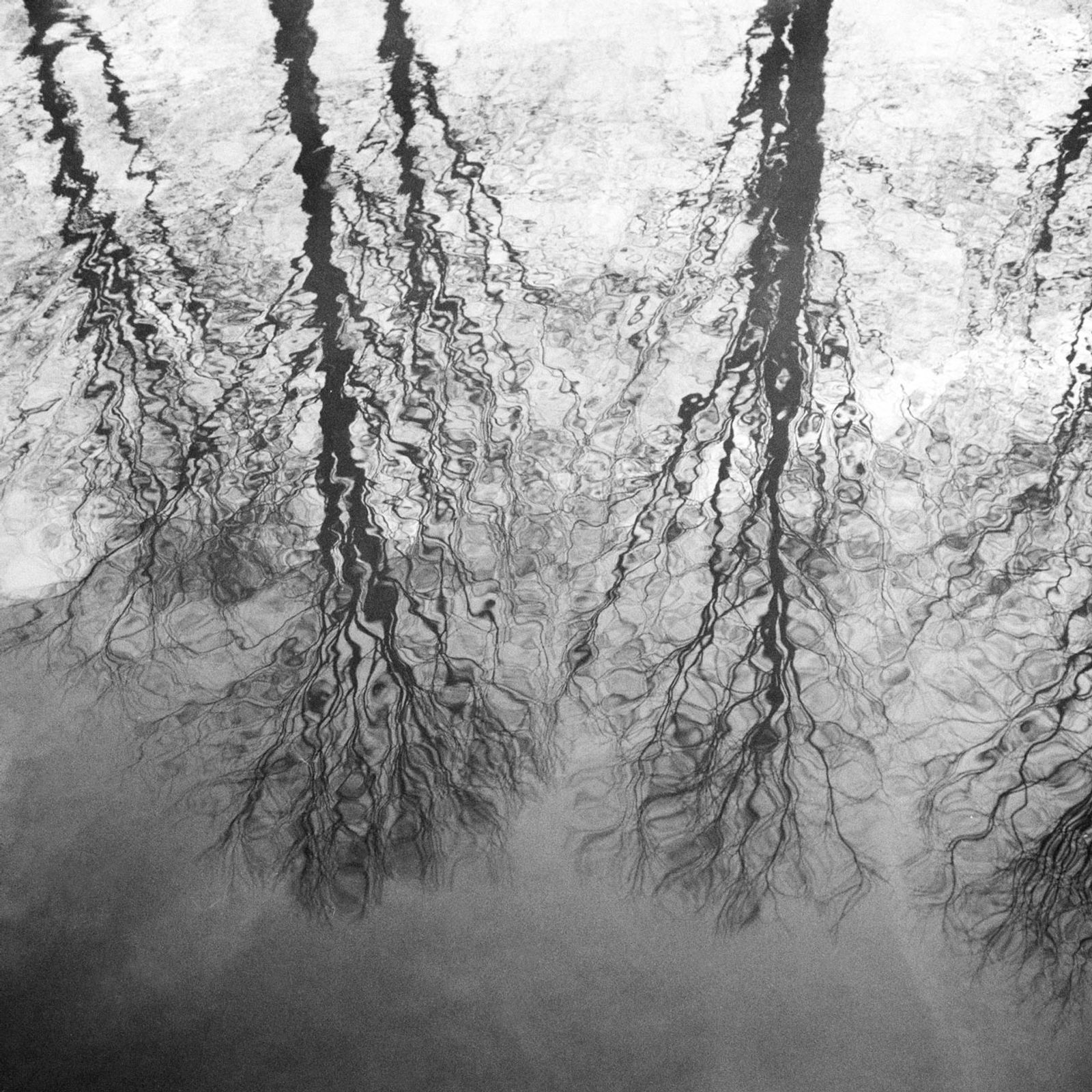 Rimpels, Franka Solida I, Ilford HP5+