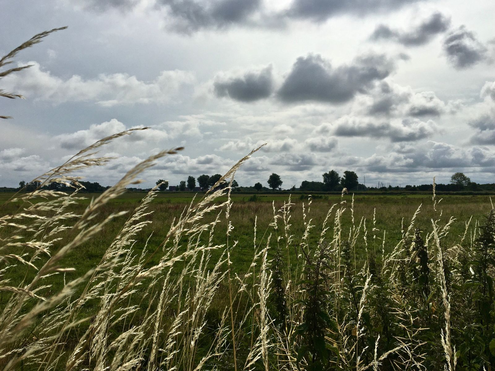 Hekslootpolder